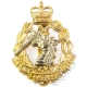 RADC Royal Army Dental Corps Cap Badge